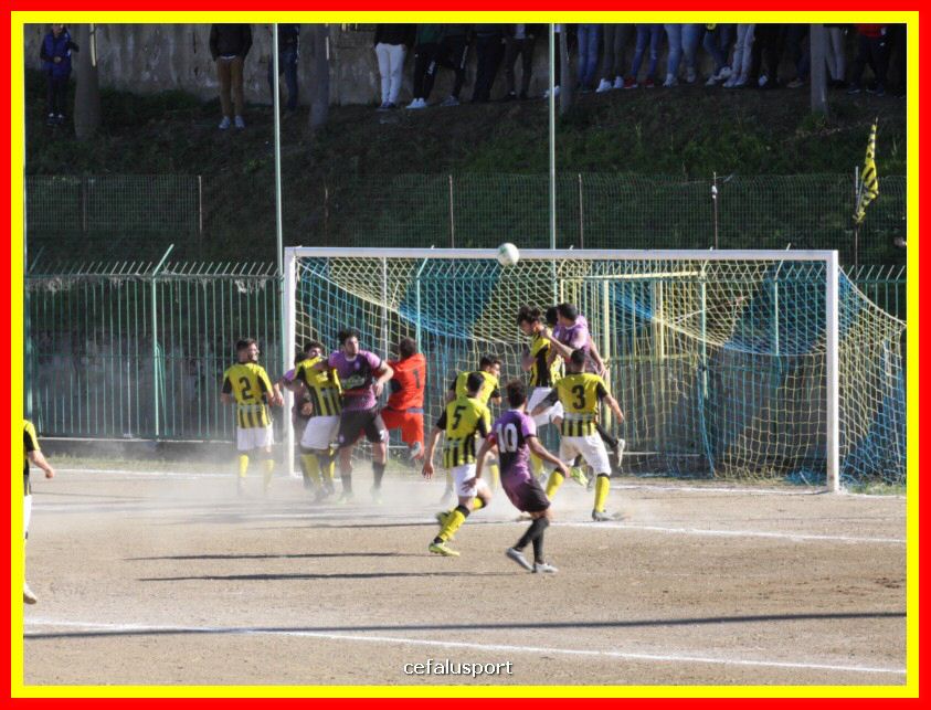 190310 Cephal_Torrenov 110_tn.jpg
